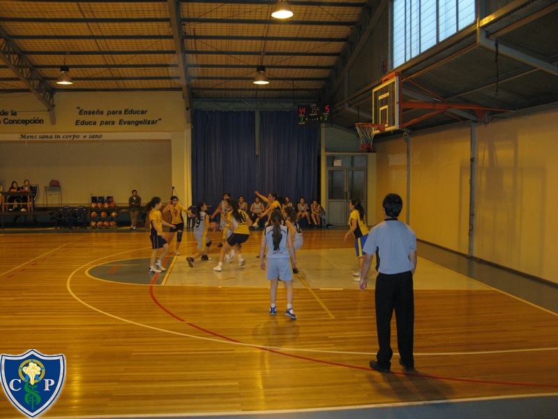 big_basquetbol100.jpg