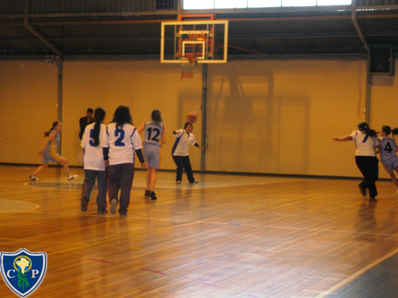 big_basquetbol_provincial.jpg