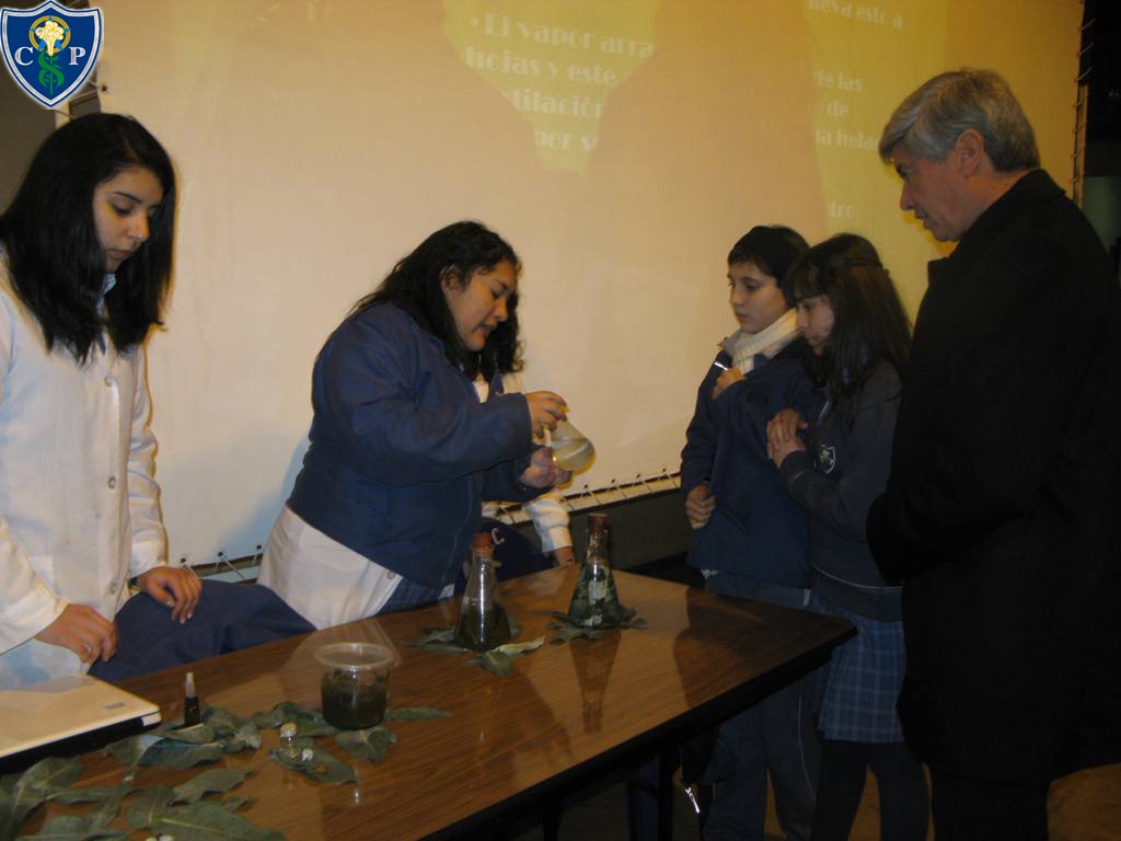 big_ciencias11.jpg