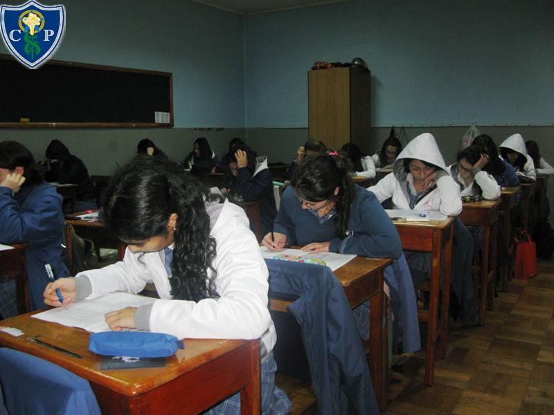 big_ensayo_psu.jpg