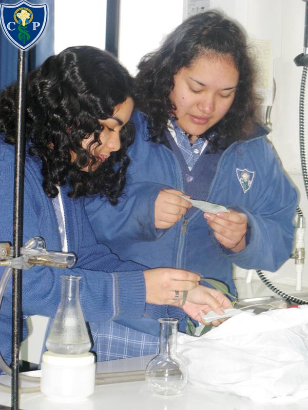 big_lab_ciencias(2).jpg