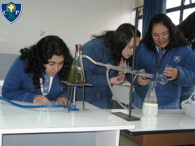big_lab_ciencias(3).jpg